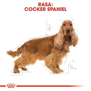 ROYAL CANIN Cocker Spaniel Adult 12kg Royal Canin