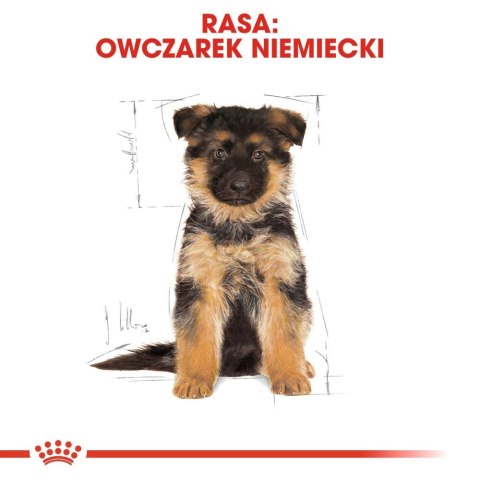 ROYAL CANIN German Shepherd Puppy 12kg Royal Canin ROYAL CANIN German Shepherd Puppy 12kg Royal Canin