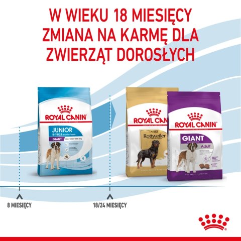 ROYAL CANIN Giant Junior 15kg Royal Canin ROYAL CANIN Giant Junior 15kg Royal Canin
