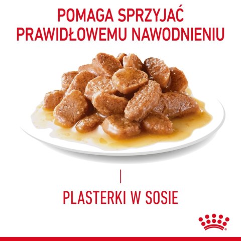 ROYAL CANIN Intense Beauty Gravy 12x85g Royal Canin ROYAL CANIN Intense Beauty Gravy 12x85g Royal Canin
