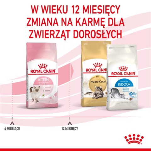 ROYAL CANIN Kitten 2kg Royal Canin ROYAL CANIN Kitten 2kg Royal Canin