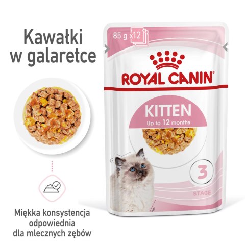 ROYAL CANIN Kitten Instinctive W Galaretce 12x85g Royal Canin ROYAL CANIN Kitten Instinctive W Galaretce 12x85g Royal Canin