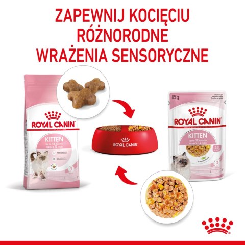 ROYAL CANIN Kitten Instinctive W Galaretce 12x85g Royal Canin ROYAL CANIN Kitten Instinctive W Galaretce 12x85g Royal Canin