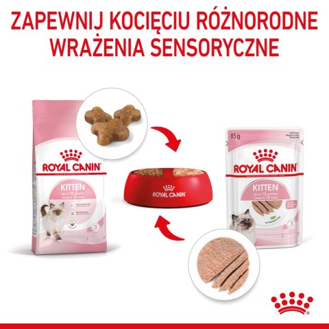 ROYAL CANIN Kitten Pasztet 12x85g Royal Canin ROYAL CANIN Kitten Pasztet 12x85g Royal Canin