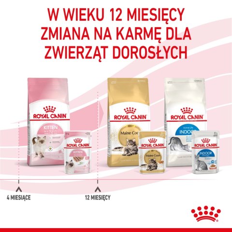 ROYAL CANIN Kitten Pasztet 12x85g Royal Canin ROYAL CANIN Kitten Pasztet 12x85g Royal Canin