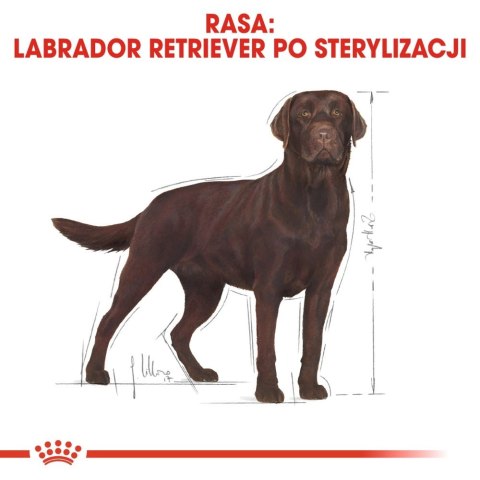 ROYAL CANIN Labrador Retriever Sterilised 12kg Royal Canin ROYAL CANIN Labrador Retriever Sterilised 12kg Royal Canin