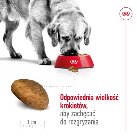 ROYAL CANIN Maxi Adult 4kg Royal Canin