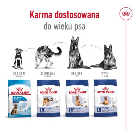 ROYAL CANIN Maxi Adult 4kg Royal Canin