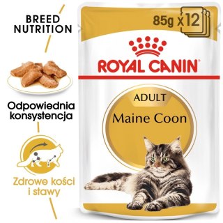 ROYAL CANIN Maine Coon Adult 12x85g Royal Canin
