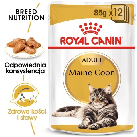 ROYAL CANIN Maine Coon Adult 12x85g Royal Canin ROYAL CANIN Maine Coon Adult 12x85g Royal Canin