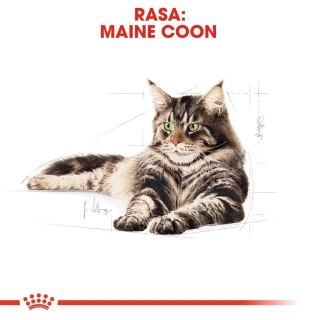 ROYAL CANIN Maine Coon Adult 12x85g Royal Canin