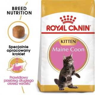 ROYAL CANIN Maine Coon Kitten 400g Royal Canin
