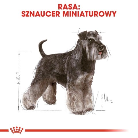 ROYAL CANIN Miniature Schnauzer Adult 3kg Royal Canin ROYAL CANIN Miniature Schnauzer Adult 3kg Royal Canin