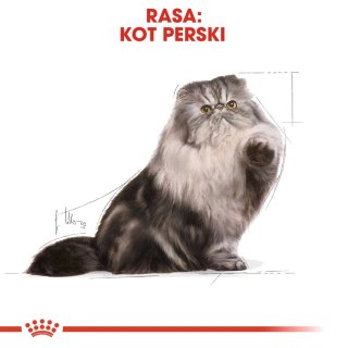 ROYAL CANIN Persian Adult 400g Royal Canin