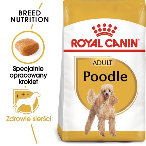 ROYAL CANIN Poodle Adult 1,5kg Royal Canin ROYAL CANIN Poodle Adult 1,5kg Royal Canin