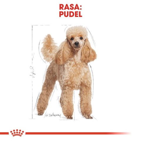 ROYAL CANIN Poodle Adult 1,5kg Royal Canin ROYAL CANIN Poodle Adult 1,5kg Royal Canin