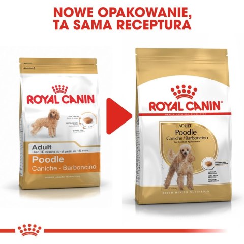 ROYAL CANIN Poodle Adult 1,5kg Royal Canin ROYAL CANIN Poodle Adult 1,5kg Royal Canin
