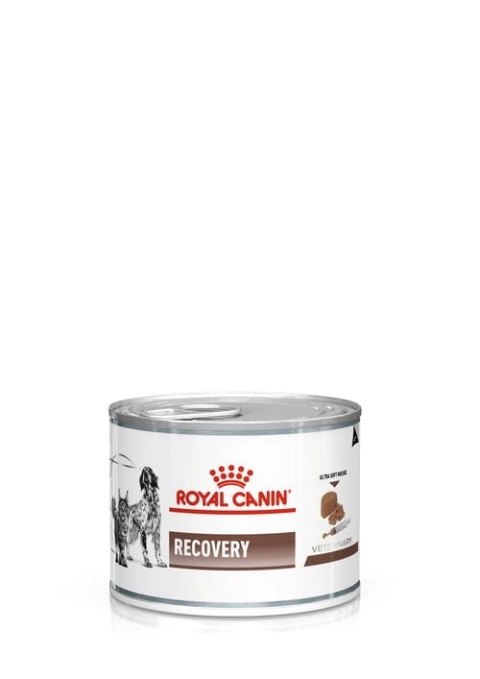 ROYAL CANIN Recovery 195g Royal Canin weterynaria ROYAL CANIN Recovery 195g Royal Canin weterynaria