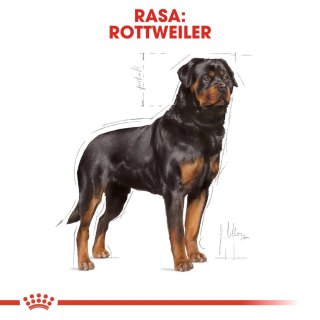 ROYAL CANIN Rottweiler Adult 12kg Royal Canin
