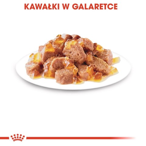 ROYAL CANIN Sterilised W Galaretce 12x85g Royal Canin ROYAL CANIN Sterilised W Galaretce 12x85g Royal Canin