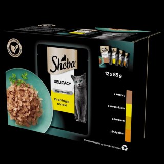 Sheba Saszetka Delicacy In Jelly Smaki Drobiowe 12x85g Sheba