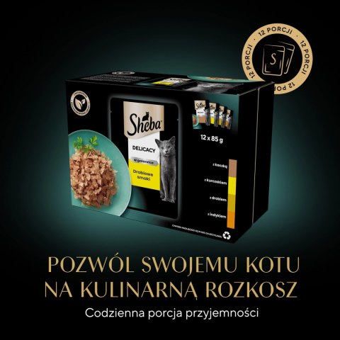 Sheba Saszetka Delicacy In Jelly Smaki Drobiowe 12x85g Sheba Sheba Saszetka Delicacy In Jelly Smaki Drobiowe 12x85g Sheba