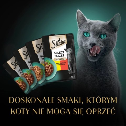 Sheba Saszetka Selection In Sauce Soczyste Smaki 4x85g Sheba Sheba Saszetka Selection In Sauce Soczyste Smaki 4x85g Sheba