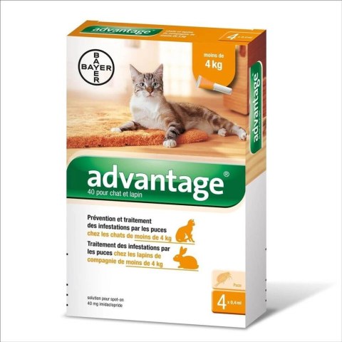 Bayer Advantage Roztwór Do Nakrapiania Dla Kotów 4x0,4ml Bayer Bayer Advantage Roztwór Do Nakrapiania Dla Kotów 4x0,4ml Bayer