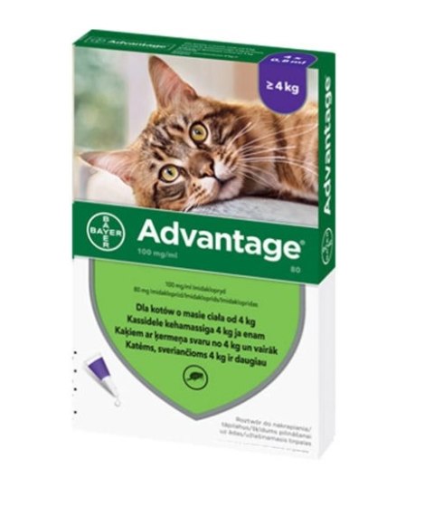Bayer Advantage Roztwór Do Nakrapiania Dla Kotów 4x0,8ml Bayer Bayer Advantage Roztwór Do Nakrapiania Dla Kotów 4x0,8ml Bayer