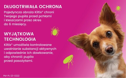 Bayer Kiltix Obroża Na Kleszcze I Pchły Dla Psa 38cm Bayer Bayer Kiltix Obroża Na Kleszcze I Pchły Dla Psa 38cm Bayer