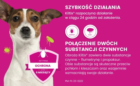 Bayer Kiltix Obroża Na Kleszcze I Pchły Dla Psa 38cm Bayer Bayer Kiltix Obroża Na Kleszcze I Pchły Dla Psa 38cm Bayer