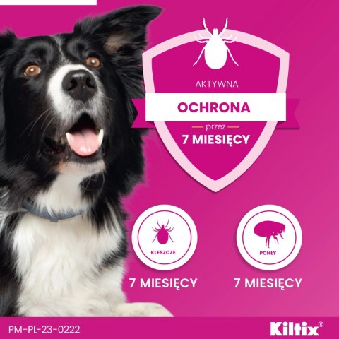 Bayer Kiltix Obroża Na Kleszcze I Pchły Dla Psa 53cm Bayer Bayer Kiltix Obroża Na Kleszcze I Pchły Dla Psa 53cm Bayer