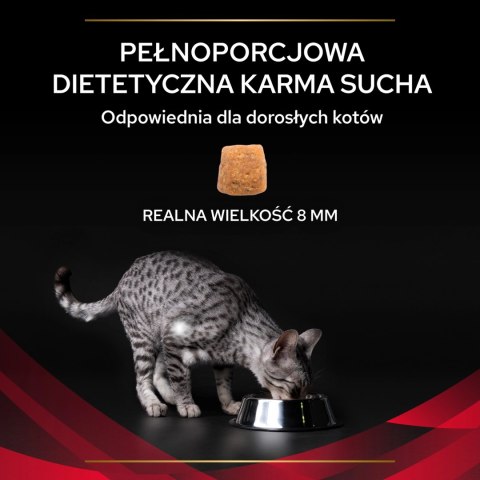PURINA Pro Plan Veterinary Diets DM Diabetes Management Cat 5kg PRO PLAN Veterinary Diets PURINA Pro Plan Veterinary Diets DM Diabetes Management Cat 5kg PRO PLAN Veterinary Diets
