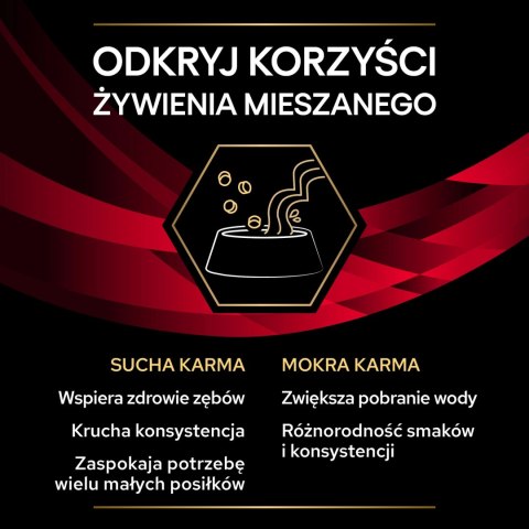 PURINA Pro Plan Veterinary Diets DM Diabetes Management Cat 5kg PRO PLAN Veterinary Diets PURINA Pro Plan Veterinary Diets DM Diabetes Management Cat 5kg PRO PLAN Veterinary Diets