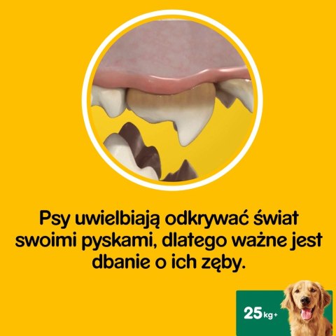 Pedigree DentaStix Przysmak Dentystyczny Dla Psów Od 4 Miesiąca I Powyżej 25kg 270g Pedigree Pedigree DentaStix Przysmak Dentystyczny Dla Psów Od 4 Miesiąca I Powyżej 25kg 270g Pedigree