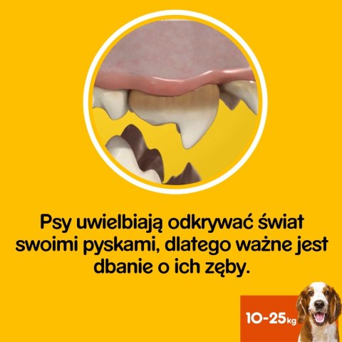 Pedigree DentaStix Przysmak Dentystyczny Dla Psów Od 4 Miesiąca I Wadze 10-25kg 180g Pedigree Pedigree DentaStix Przysmak Dentystyczny Dla Psów Od 4 Miesiąca I Wadze 10-25kg 180g Pedigree