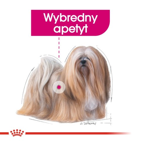 ROYAL CANIN CCN Mini Exigent 3kg Royal Canin ROYAL CANIN CCN Mini Exigent 3kg Royal Canin