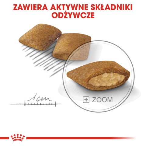 ROYAL CANIN CCN Mini Exigent 3kg Royal Canin ROYAL CANIN CCN Mini Exigent 3kg Royal Canin