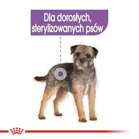 ROYAL CANIN CCN Sterilised Mini Pasztet 12x85g Royal Canin ROYAL CANIN CCN Sterilised Mini Pasztet 12x85g Royal Canin