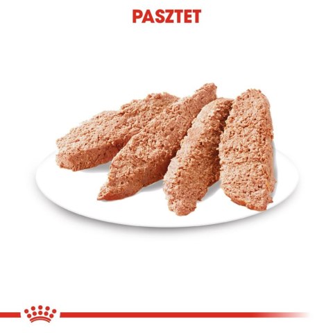 ROYAL CANIN CCN Sterilised Mini Pasztet 12x85g Royal Canin ROYAL CANIN CCN Sterilised Mini Pasztet 12x85g Royal Canin