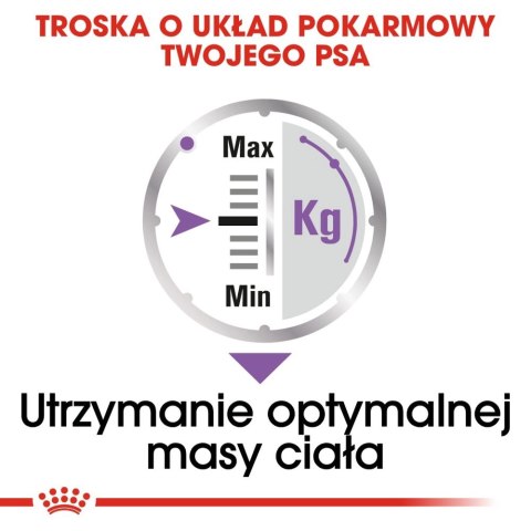 ROYAL CANIN CCN Sterilised Mini Pasztet 12x85g Royal Canin ROYAL CANIN CCN Sterilised Mini Pasztet 12x85g Royal Canin