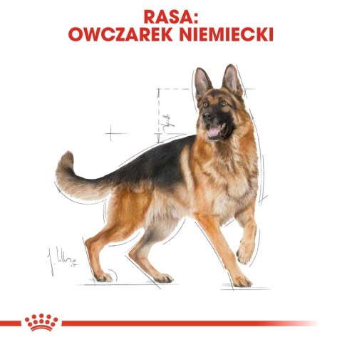 ROYAL CANIN German Shepherd Adult 11kg Royal Canin ROYAL CANIN German Shepherd Adult 11kg Royal Canin