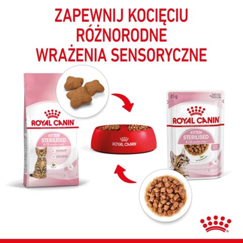 ROYAL CANIN Kitten Sterilised Sauce 12x85g Royal Canin ROYAL CANIN Kitten Sterilised Sauce 12x85g Royal Canin