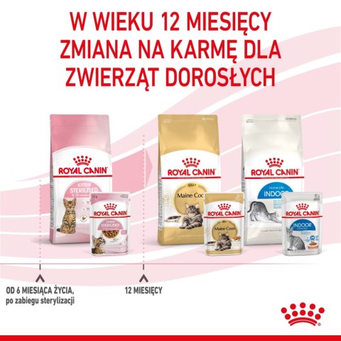 ROYAL CANIN Kitten Sterilised Sauce 12x85g Royal Canin ROYAL CANIN Kitten Sterilised Sauce 12x85g Royal Canin