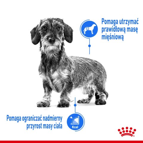 ROYAL CANIN Light Weight Care Pasztet 12x85g Royal Canin ROYAL CANIN Light Weight Care Pasztet 12x85g Royal Canin