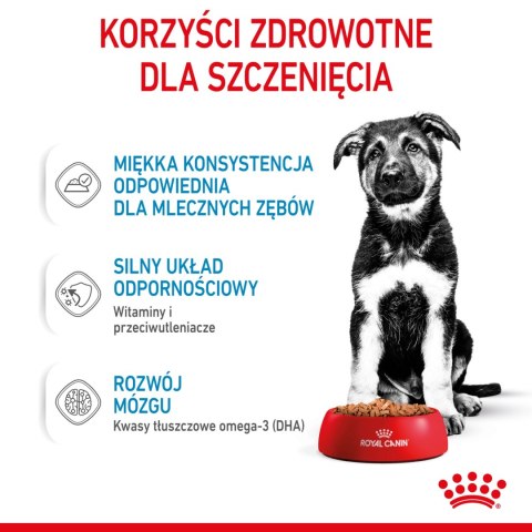 ROYAL CANIN Maxi Puppy 10x140g Royal Canin ROYAL CANIN Maxi Puppy 10x140g Royal Canin