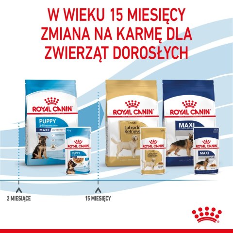 ROYAL CANIN Maxi Puppy 10x140g Royal Canin ROYAL CANIN Maxi Puppy 10x140g Royal Canin