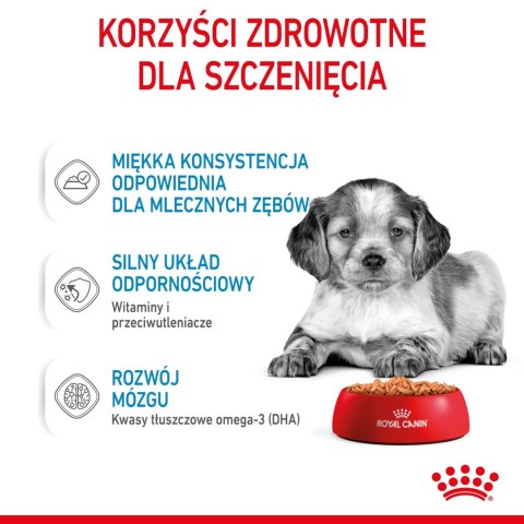 ROYAL CANIN Medium Puppy 10x140g Royal Canin ROYAL CANIN Medium Puppy 10x140g Royal Canin