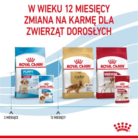 ROYAL CANIN Medium Puppy 10x140g Royal Canin ROYAL CANIN Medium Puppy 10x140g Royal Canin