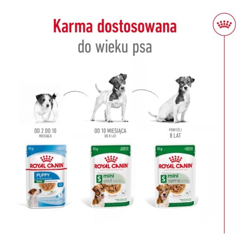 ROYAL CANIN Mini Adult 12x85g Royal Canin ROYAL CANIN Mini Adult 12x85g Royal Canin